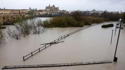 Image for Farmers report 'catastrophic damage to crops as Storm Marta hits Spain and Portugal