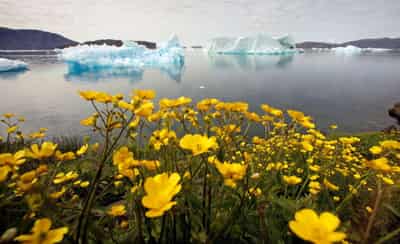 Image for World Bank commits to annual reports on climate action plan