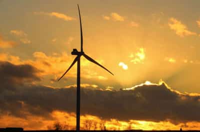 Image for Analysis-Investors back ESG stock funds even as tech slide hurts returns
