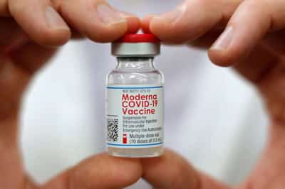Image for Antibody levels higher after Moderna shot; Lilly arthritis drug used with steroid cuts death risk