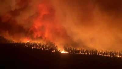 Image for Wildfires rage in France, thousands evacuated from homes