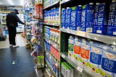 Image for Analysis: China seeks to milk the milk market but doesn&#8217;t have enough cows