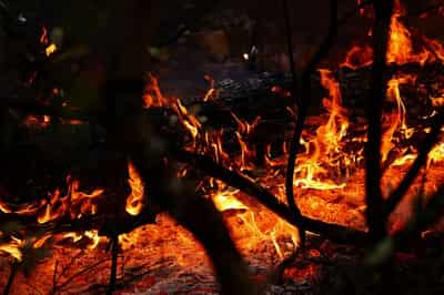 Image for Fast-moving wildfire in southern France forces hundreds to flee