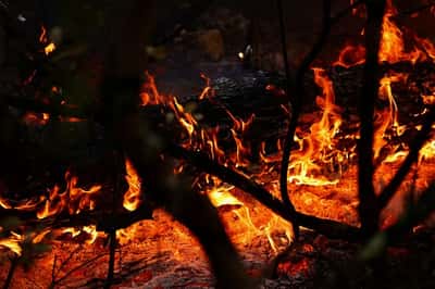 Image for Fast-moving wildfire in southern France forces hundreds to flee