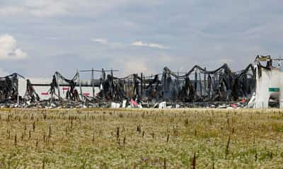 Image for Russian entrepreneurs see stock go up in flames as Ukraine targets Wildberries