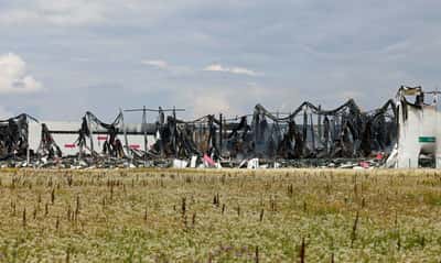 Image for Russian entrepreneurs see stock go up in flames as Ukraine targets Wildberries
