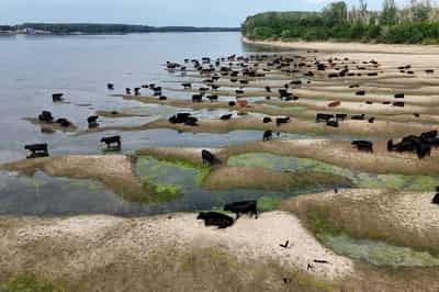 Image for Romania declares state of emergency as low Danube levels hit power output