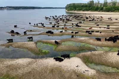 Image for Romania declares state of emergency as low Danube levels hit power output