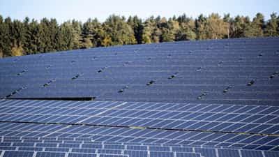 Image for Rising German solar supply weighs on spot prices