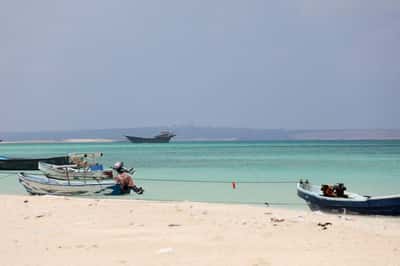 Image for Three killed in attacks on ships in Red Sea, Gulf, sources say