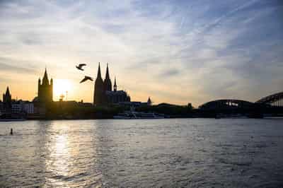 Image for Reforms could relieve German budget by up to €60 billion, Ifo says