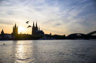 Image for Reforms could relieve German budget by up to €60 billion, Ifo says
