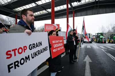 Image for Pre-war EU-Ukraine trade deal may temporarily return when tariff suspension expires