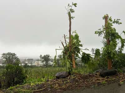 Image for Four dead after cyclone Garance hits French island of La Reunion