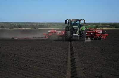 Image for Exclusive-Russia’s grain trader Demetra buys large stocks of sunflower seeds in Oct