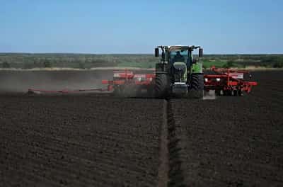Image for Exclusive-Russia’s grain trader Demetra buys large stocks of sunflower seeds in Oct