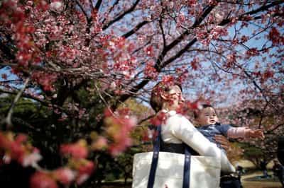 Image for Japan's births fell to record low in 2024