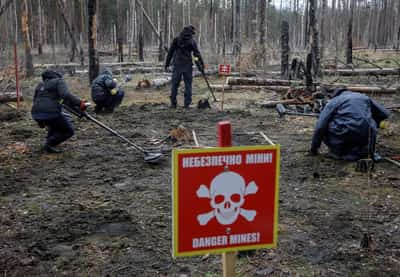 Image for Man, machine and AI combine in battle to clear Ukraine of mines