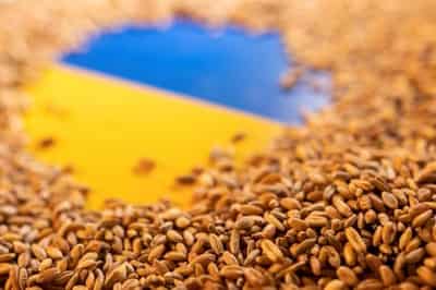 Image for The sea mines floating between Ukraine’s grain stocks and the world