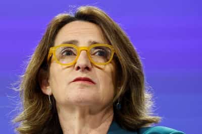 Image for EU antitrust chief urges EU countries to back cross-border bank deals