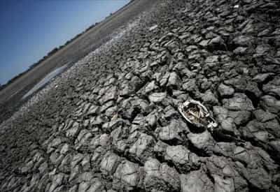 Image for Environment risks dominate in “polycrisis” world – WEF survey