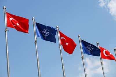 Image for Factbox-NATO Ankara summit: who's going and what to expect