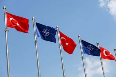 Image for Factbox-NATO Ankara summit: who's going and what to expect