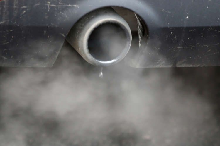 Image for Company bosses question benefits of net zero transition &#8211; survey