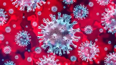 Image for A CEO and staff guide to your financial employment rights during the coronavirus
