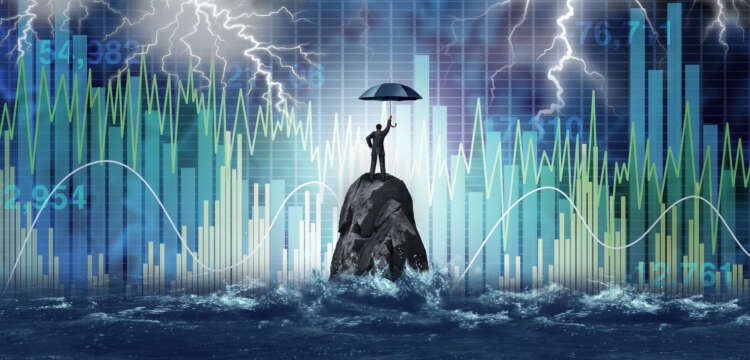 Image for The essential guidelines for succeeding in times of crisis