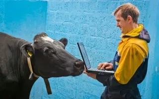 Image for SEP INVESTMENT – WEARABLE TECHNOLOGY FOR COWS