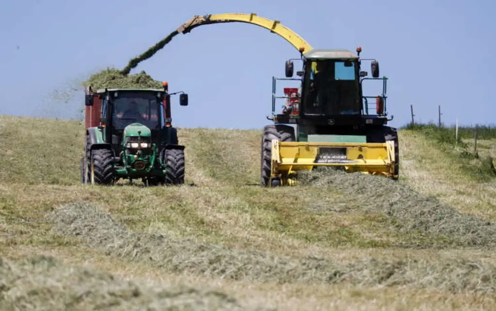 Image for Swiss to vote on whether to become first European nation to ban synthetic pesticides