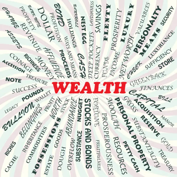 Image for FINANCIAL SERVICES FOR THE NON-WEALTHY