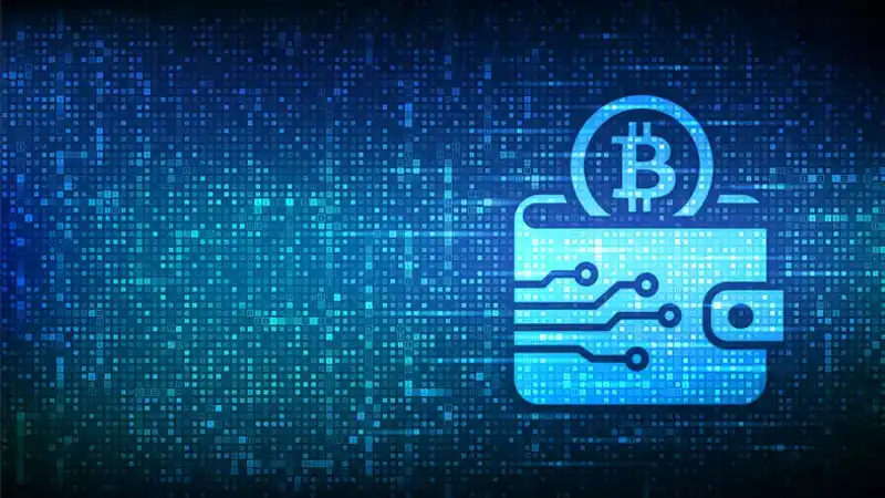 Image for Crypto Wallet Compatibility With Autonomous Blockchain Systems: What You Need To Know