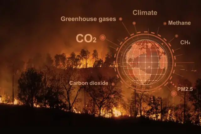 Image for Decoding the global economic impact of climate change: a multi-sectoral analysis