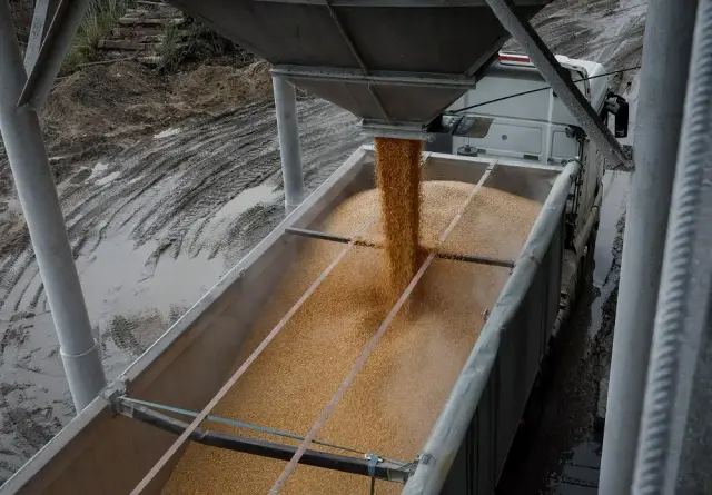 Image for Analysis-Ukrainian corn seed flows to Europe in further farm trade shift