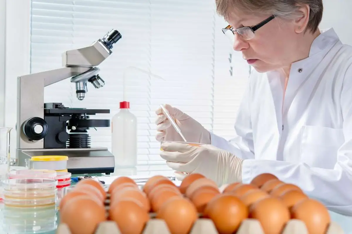 Image for Catering for the coronavirus: Food health &amp; safety firm offers advice on working to re-open