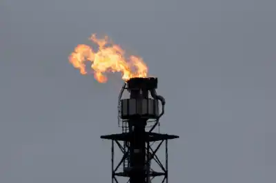 Image for Oil majors are betting big on biofuels with over 40 projects by 2030, Rystad says