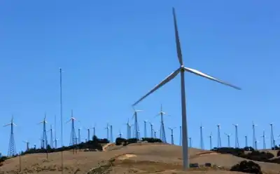 Image for Analysis-Bear market puts ESG investing to its first big test