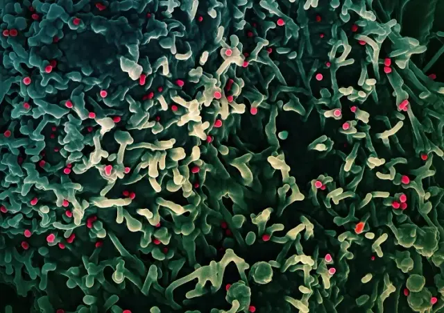 Image for WHO to convene emergency meeting on mpox on Nov. 22