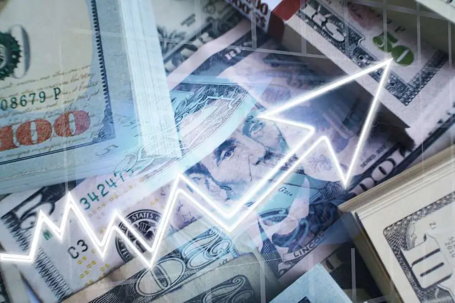 Image for COVID-19: Raising share capital or social capital