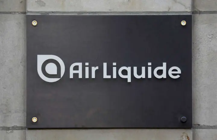 Image for Pandemic oxygen demand lifts Air Liquide&#8217;s Q1 sales