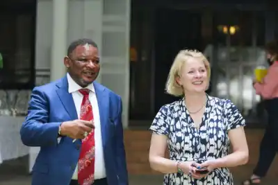 Image for Britain to raise Nigerian renewable, climate change investments