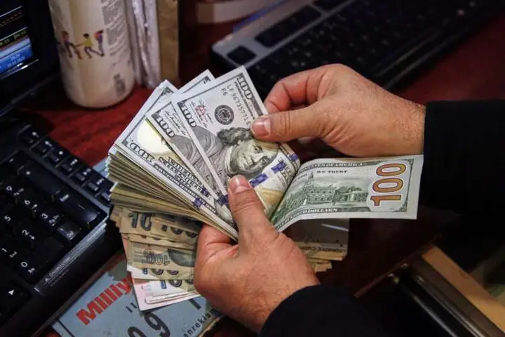 Image for Euro struggles to hold to post-ECB gains, dollar hits 5-year peak on yen