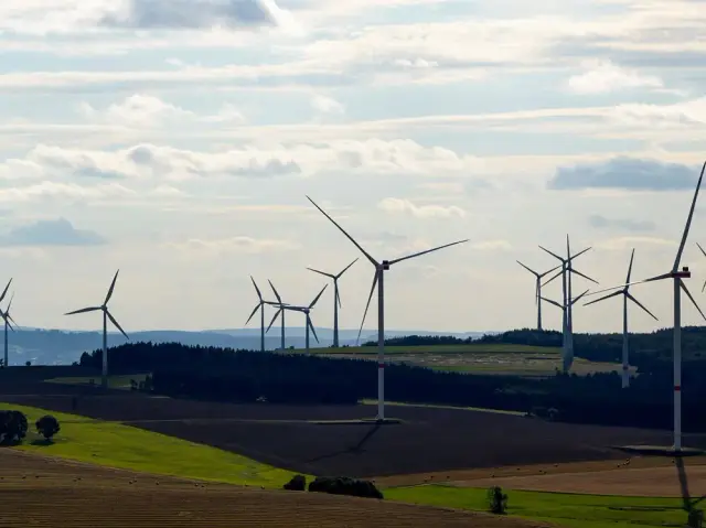 Image for Germany moves to strengthen domestic wind power industry