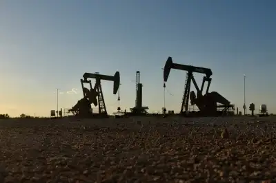 Image for Oil demand to fall to 80-100 million bpd by 2035, says BP’s US chief economist
