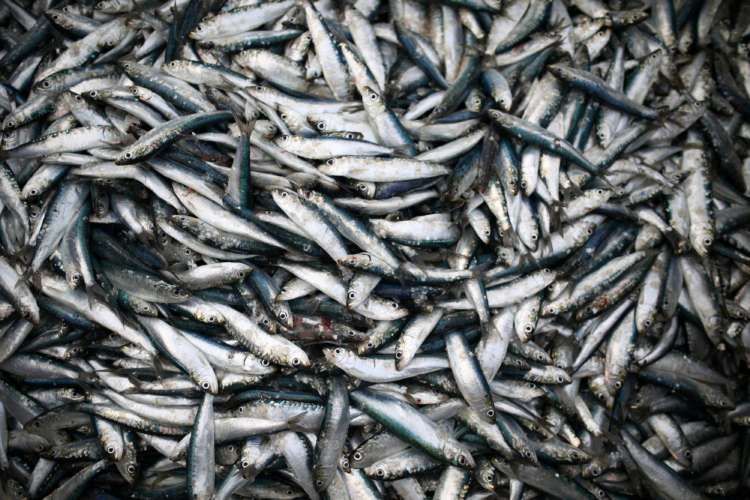 Image for UK-EU trade slumps in first month of new Brexit rules