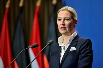 Image for German far-right leader is a Chinese-speaking economist with foreign partner