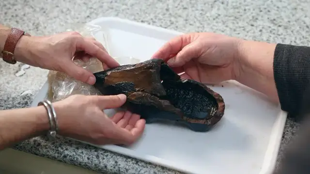 Image for Dutch discover rare 500-year old wooden shoe