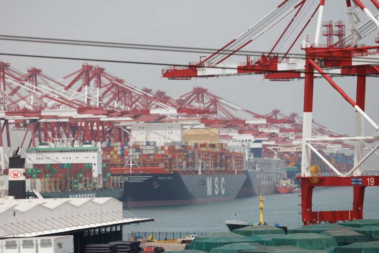 Image for Global supply chain squeeze, soaring costs threaten solar energy boom